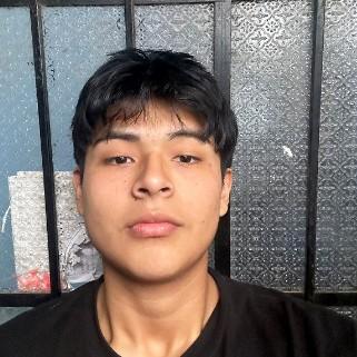 Jesus Angel Orellana Caceres