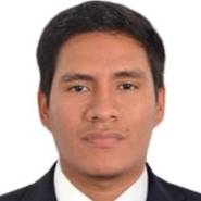 Ronaldo Bocanegra Gahona