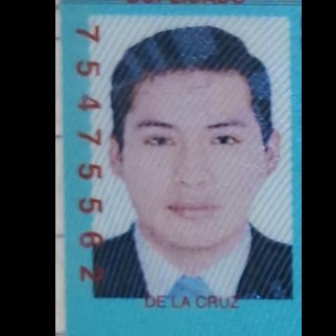 Fidel DE la cruz allca