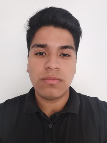 JOEL ALEXANDER LAVERIANO ARMESTAR