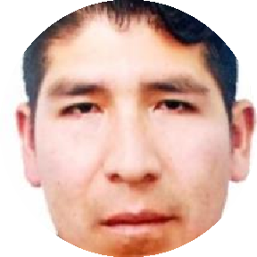 FERNANDO MARCOS BRAVO SALDAÑA