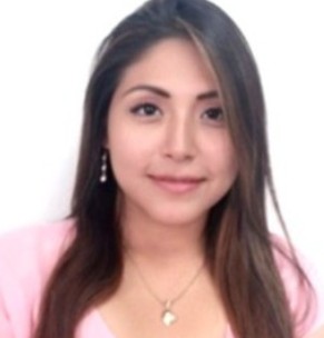 Ana Liz Julcapoma Ponce
