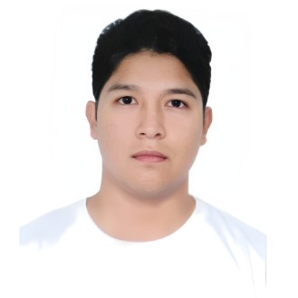 DAVID ENRIQUE PINEDA CANALES