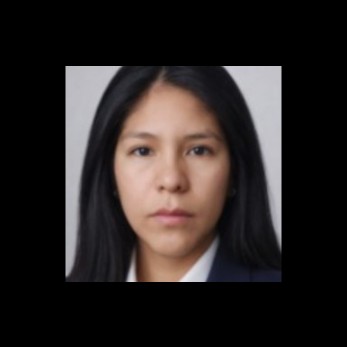 Gysel Estreise Soto Collao