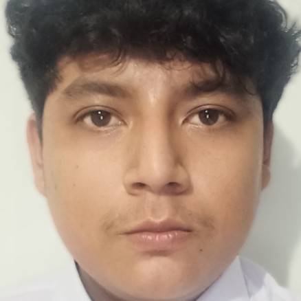 Jose Rodolfo Casely Rojas Avalos