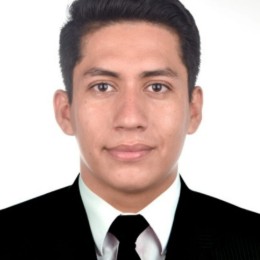 JOSE REMIGIO SOLSOL RUIZ