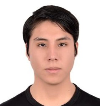 Anthony Ronald Meza Mamani