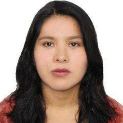 Beatriz Mamani Apaza