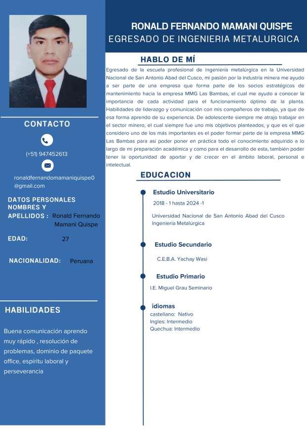 Ronald Fernando Mamani Quispe