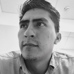 DORIN PAVEL CHAVEZ HURTADO