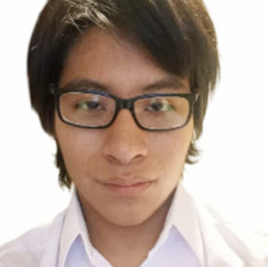 Aron Guzmán Flores