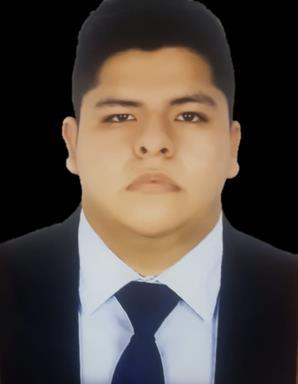 PATRICK Franza Quispe Milla