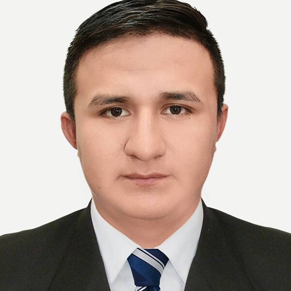 LUIS FERNANDO JULCAHUANGA PEÑA