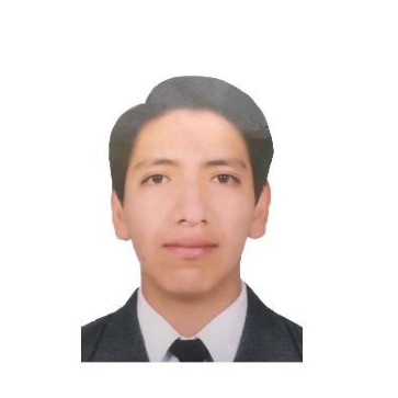 JOEL ALIAGA PALPA