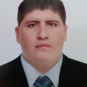 JAVIER ALEXANDER PALOMINO LOPEZ