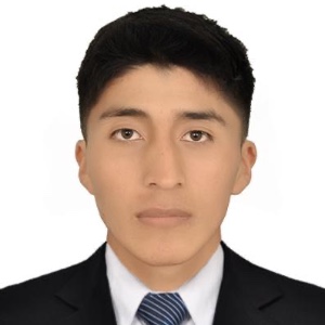 DANFER REFFREY CONDORI QUISPE